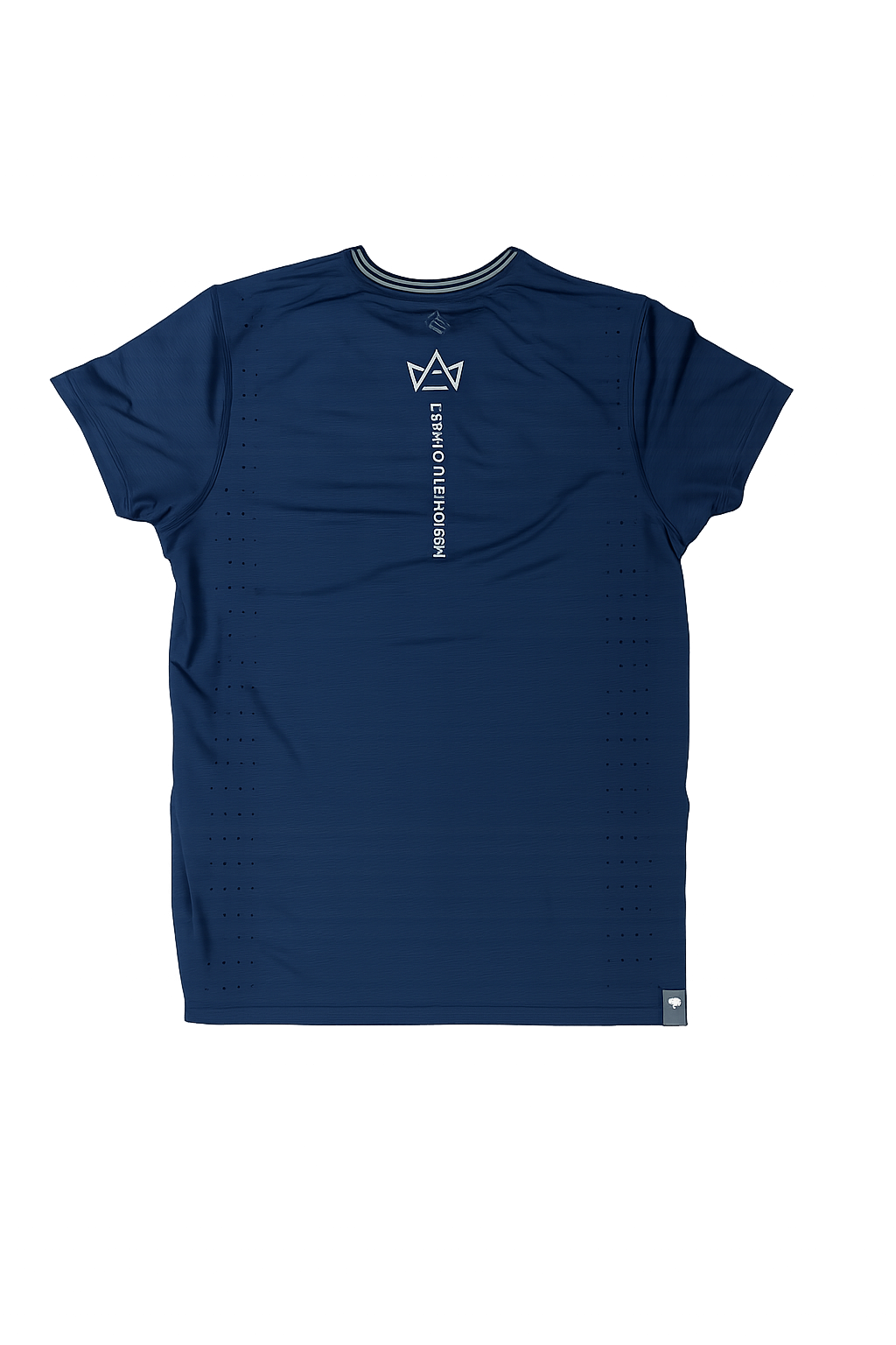 Run Rabbit Elite Run Shirt Blue